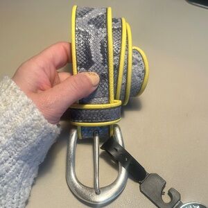 Gray Snakeskin Embossed Belt with Yellow Piping